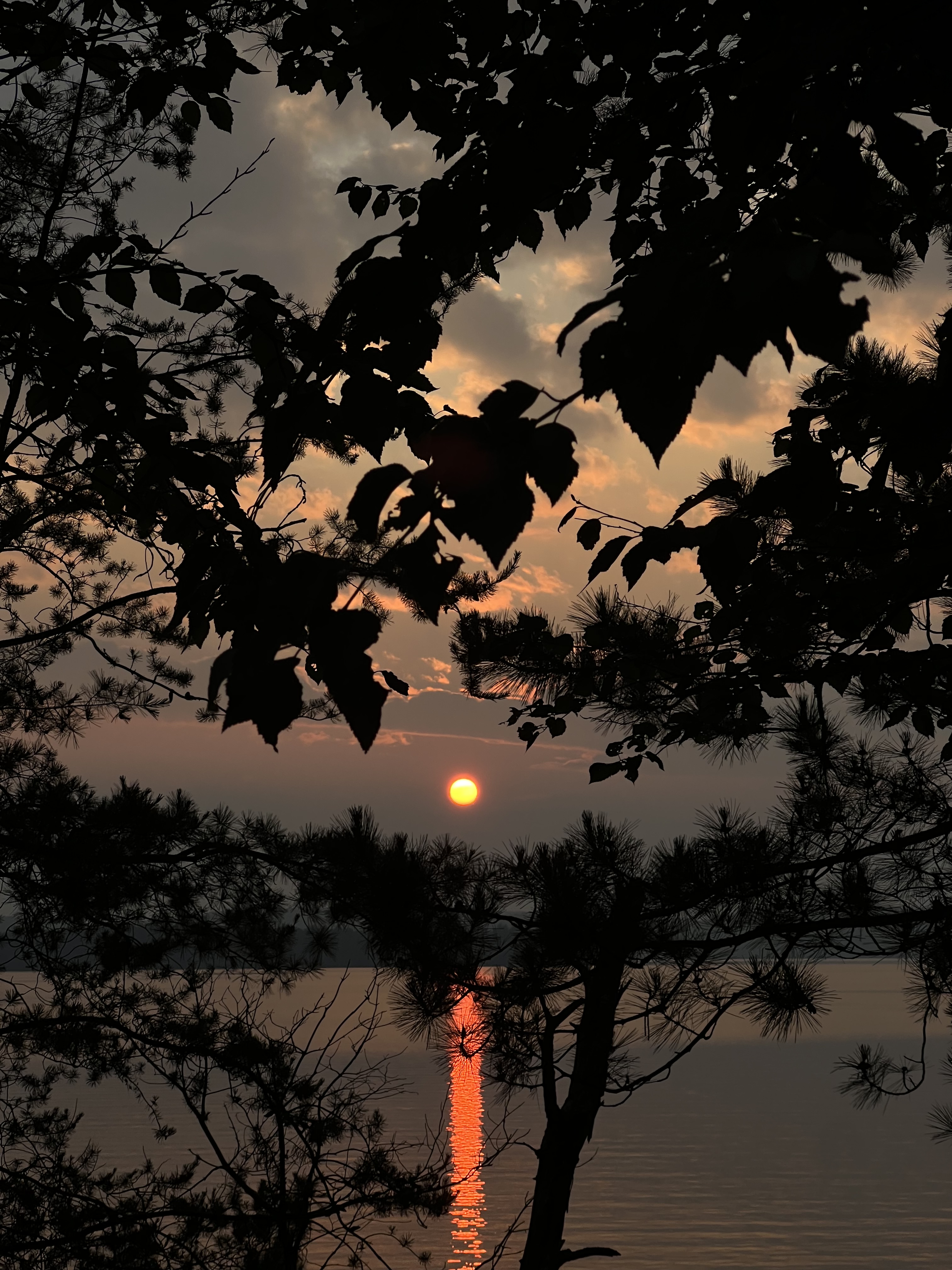 THIS LAND CALLED MY DAUGHTER